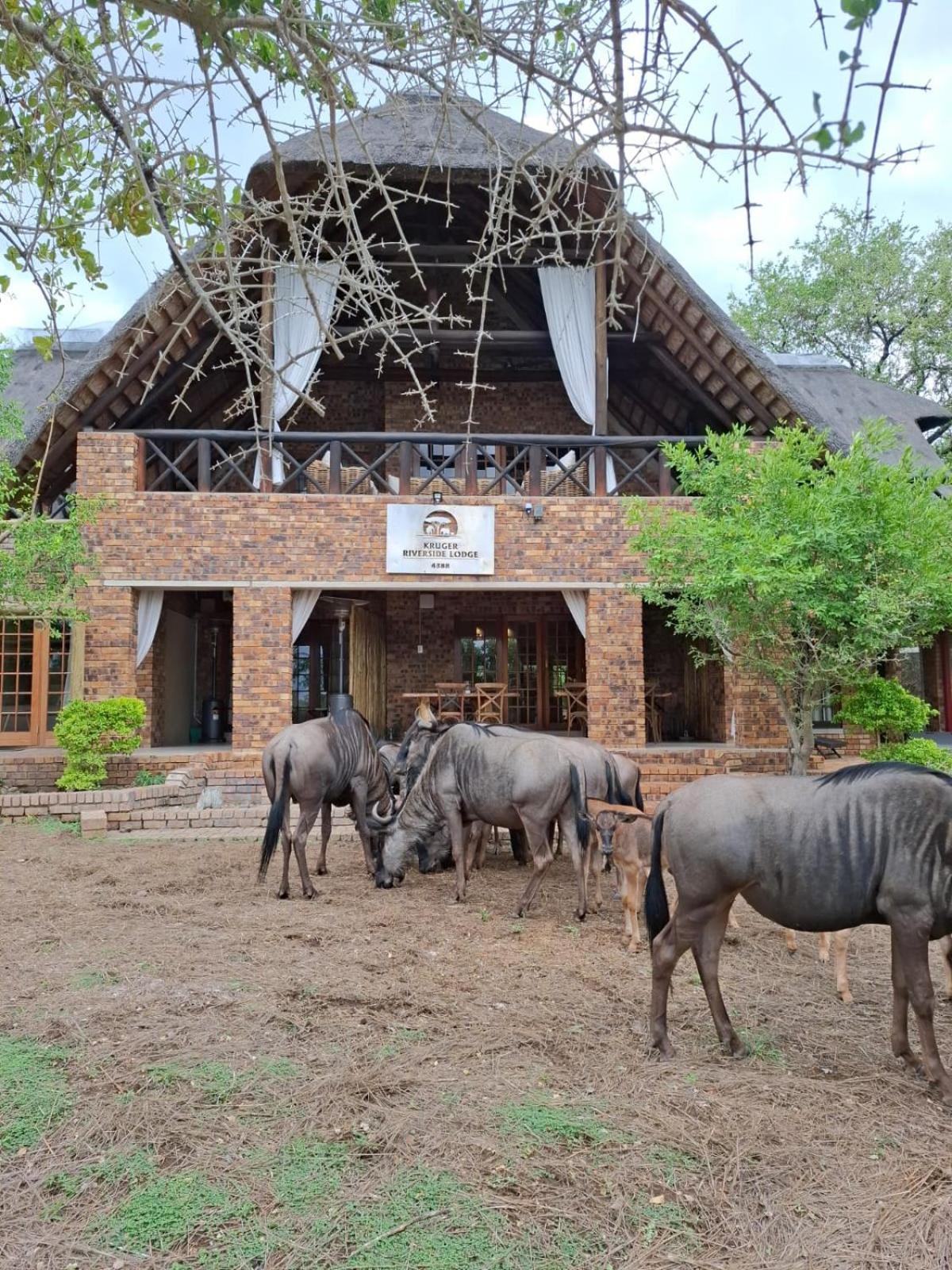 Kruger Riverside Lodge - No Load-Shedding Marloth Park Eksteriør bilde
