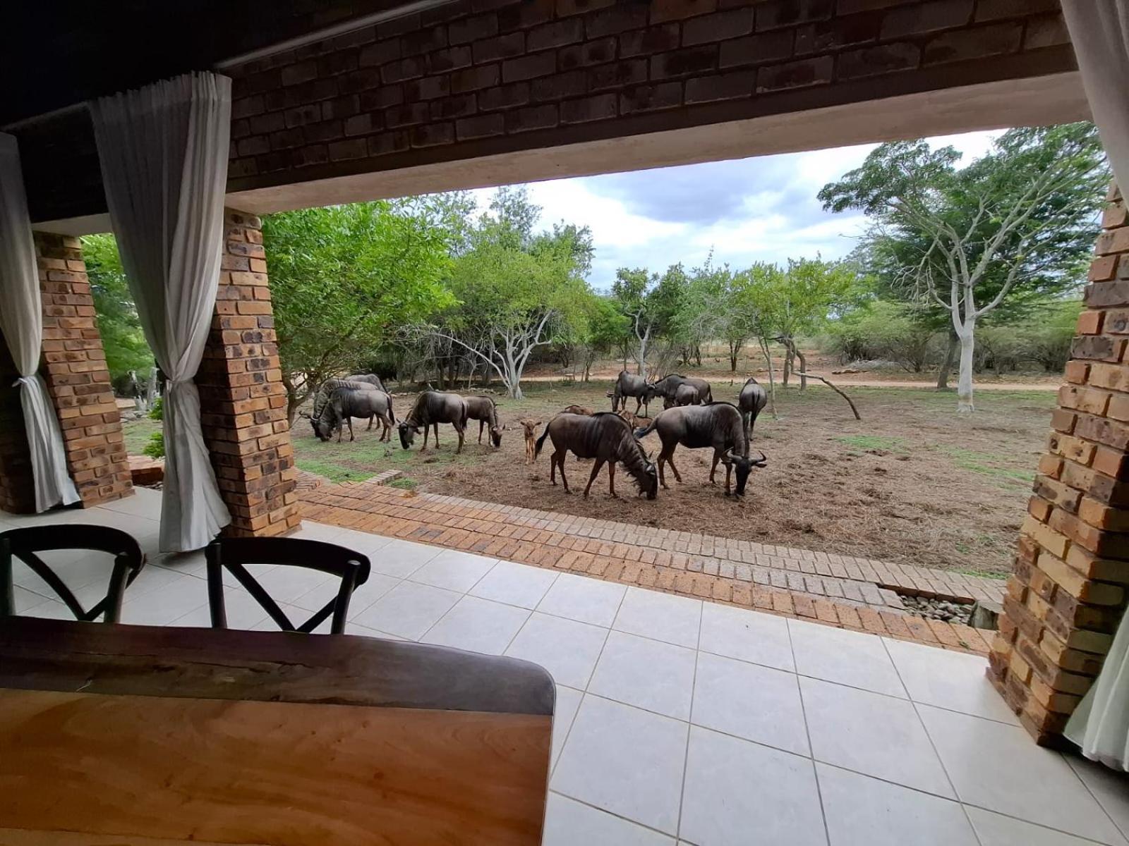 Kruger Riverside Lodge - No Load-Shedding Marloth Park Eksteriør bilde