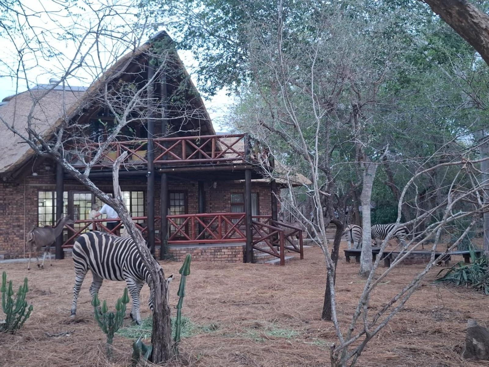 Kruger Riverside Lodge - No Load-Shedding Marloth Park Eksteriør bilde