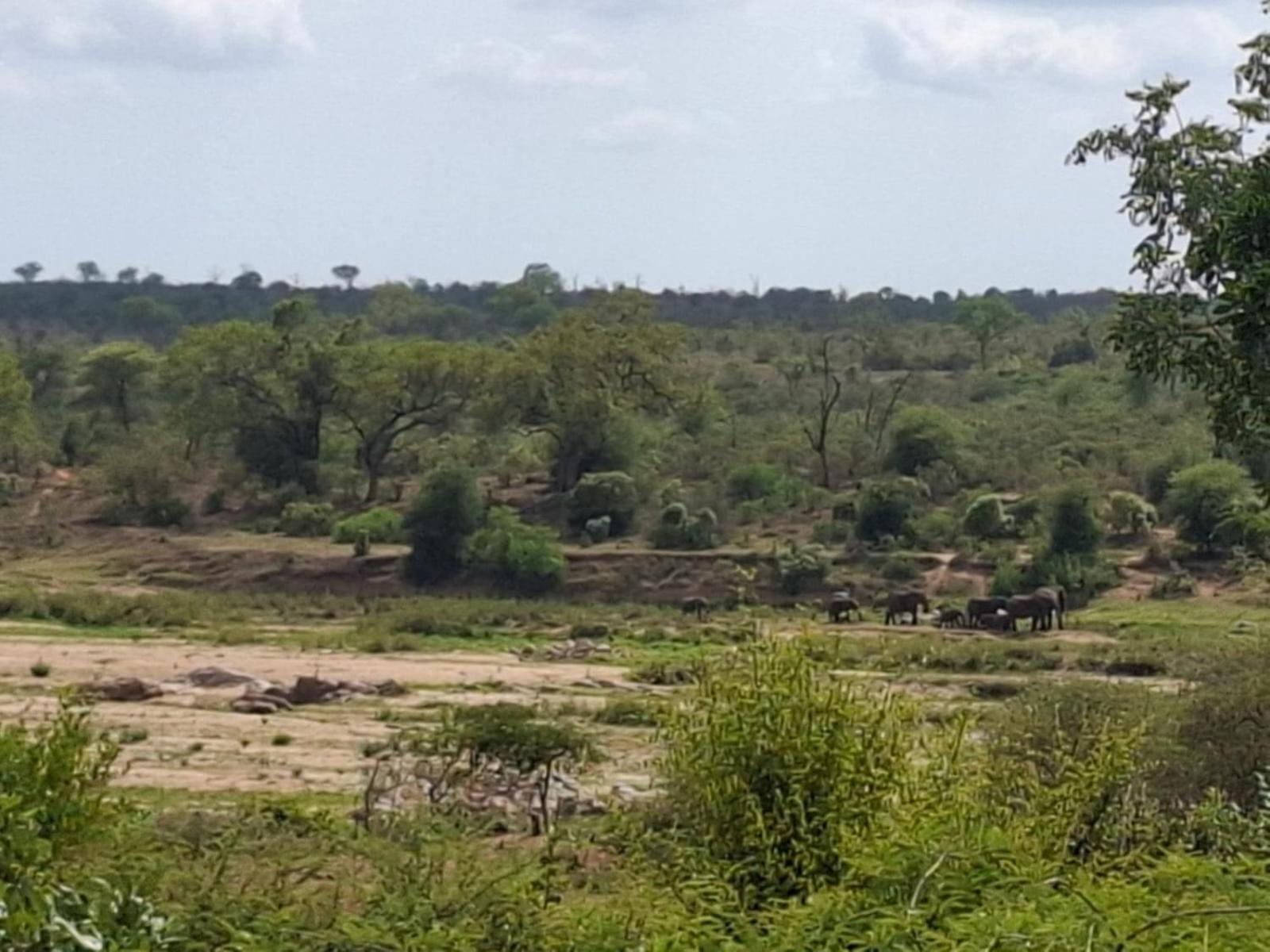 Kruger Riverside Lodge - No Load-Shedding Marloth Park Eksteriør bilde