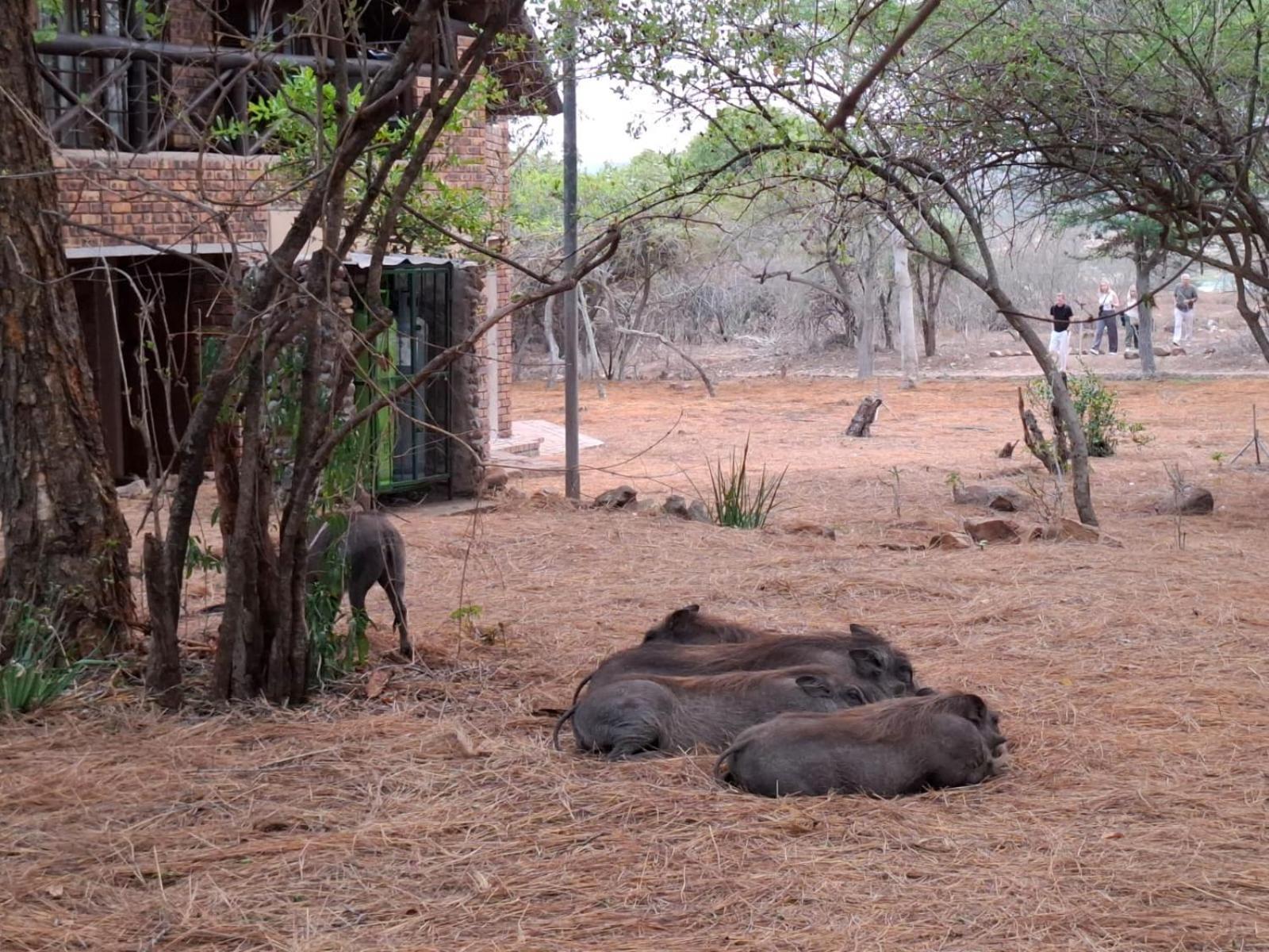 Kruger Riverside Lodge - No Load-Shedding Marloth Park Eksteriør bilde