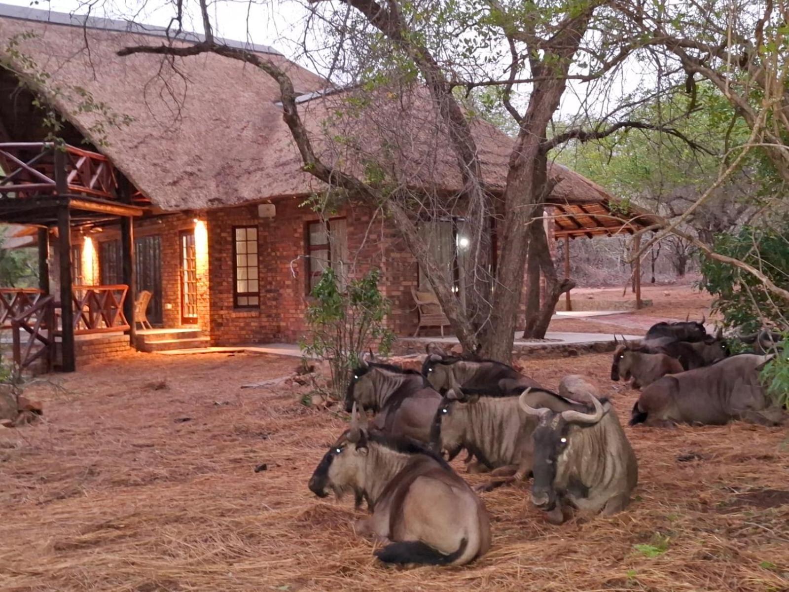 Kruger Riverside Lodge - No Load-Shedding Marloth Park Eksteriør bilde