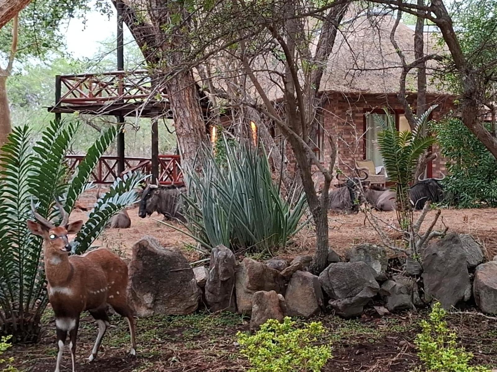 Kruger Riverside Lodge - No Load-Shedding Marloth Park Eksteriør bilde