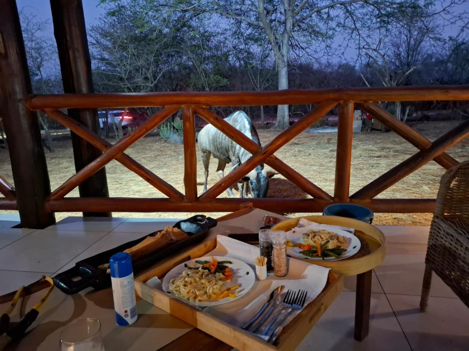 Kruger Riverside Lodge - No Load-Shedding Marloth Park Eksteriør bilde